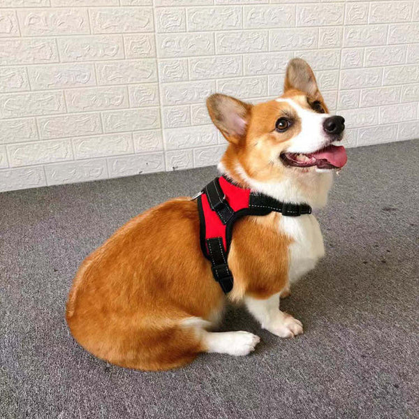 HKM-9709885 Small Dog Vest with Towing Rope - Multiple Colors and Sizes Available