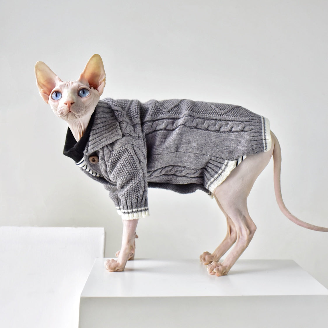 HKM-9713853 Cozy Space Gray Twist Sweater for Hairless Cats - Sized XXL
