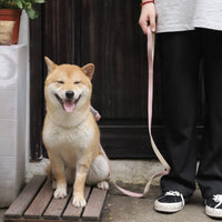 HKM-9715133 Dog Traction Rope with Chest Harness for Comfortable Walking