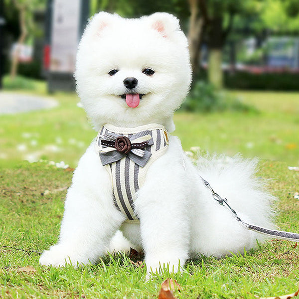 HKM-9715645 Adjustable Pet Harness with Bow Tie for Small & Medium Pets - Stripe Design