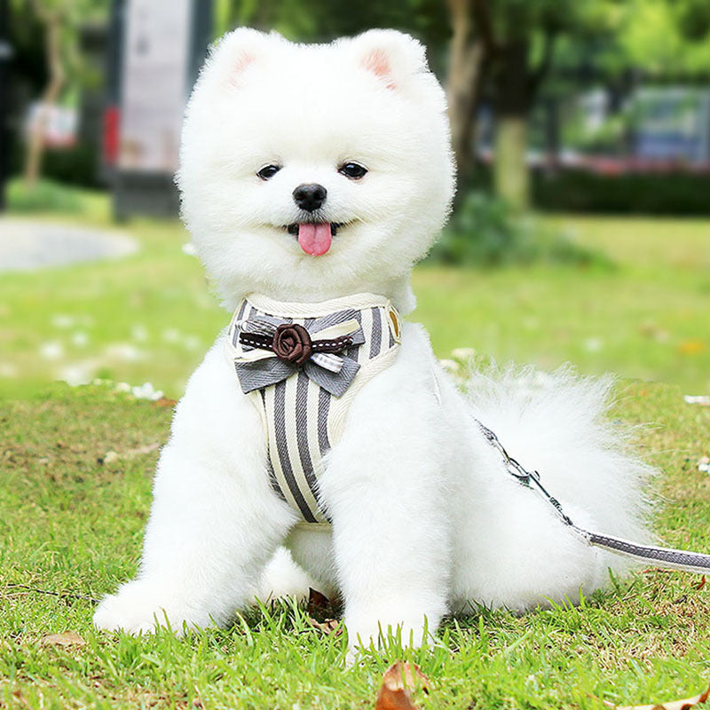 HKM-9715645 Adjustable Pet Harness with Bow Tie for Small & Medium Pets - Stripe Design