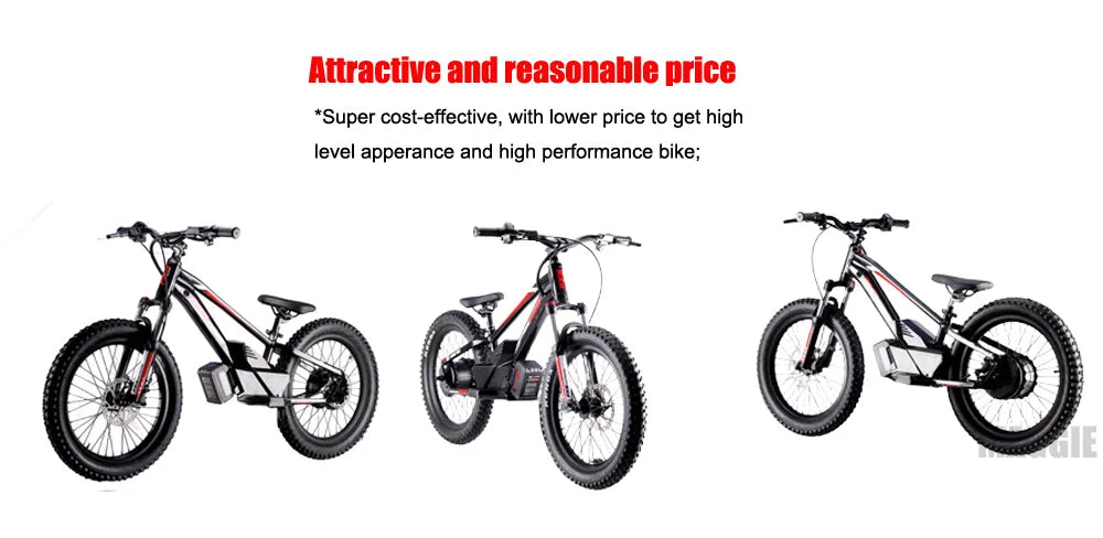 HKM-972051 16 Inch Electric Balance Bike for Kids 5-12 Years, 800W, 3 Speed, 20" Wheels, Aluminum Frame, 36V Battery, Up to 30 km/h