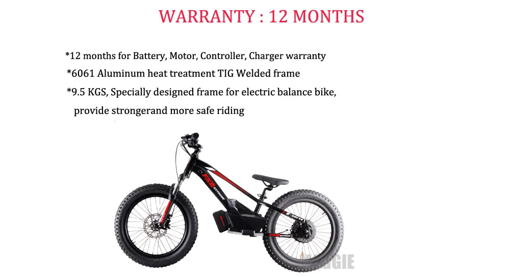 HKM-972051 16 Inch Electric Balance Bike for Kids 5-12 Years, 800W, 3 Speed, 20" Wheels, Aluminum Frame, 36V Battery, Up to 30 km/h