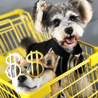 HKM-9721277 Cozy Reflective Two-Legged Dog Sweater for Spring and Autumn in Various Sizes