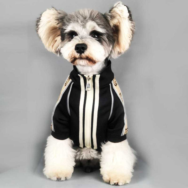 HKM-9721277 Cozy Reflective Two-Legged Dog Sweater for Spring and Autumn in Various Sizes