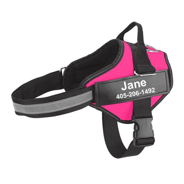 HKM-9726653 Multicolor Personalized Nylon Pet Chest Strap with Traction Rope