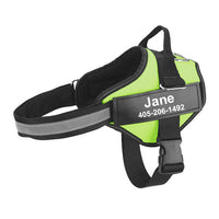 HKM-9726653 Multicolor Personalized Nylon Pet Chest Strap with Traction Rope