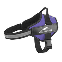 HKM-9726653 Multicolor Personalized Nylon Pet Chest Strap with Traction Rope