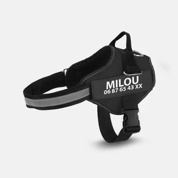 HKM-9726653 Multicolor Personalized Nylon Pet Chest Strap with Traction Rope