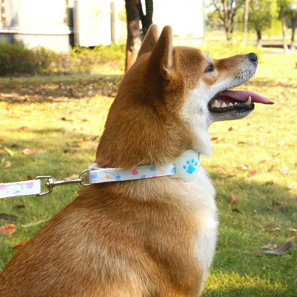 HKM-9727165 Adjustable Pet Positioning Collar and Leash Set for Small to Medium Pets, Multiple Colors Available