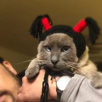 HKM-9732157 Halloween Cat Hood Hat - Adjustable Black Headgear for Pets