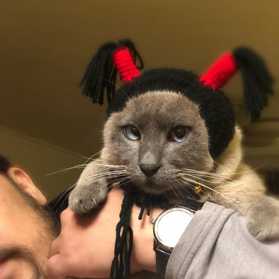 HKM-9732157 Halloween Cat Hood Hat - Adjustable Black Headgear for Pets