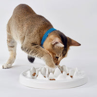 HKM-9733309 Ceramic Slow Food Bowl for Cats and Small Dogs - Fish & Bone Design