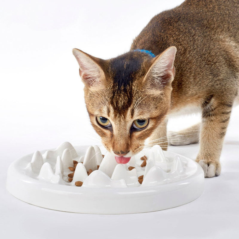 HKM-9733309 Ceramic Slow Food Bowl for Cats and Small Dogs - Fish & Bone Design