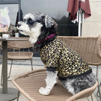 HKM-9735485 Stylish Bronzing Pet Dog Clothes for Spring and Summer