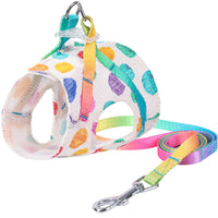 HKM-9736893 Cool and Breathable Cotton and Polyester Chest Leash for Small to Medium Dogs