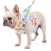 HKM-9736893 Cool and Breathable Cotton and Polyester Chest Leash for Small to Medium Dogs