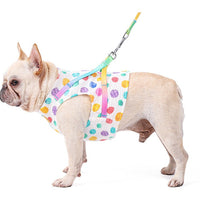HKM-9736893 Cool and Breathable Cotton and Polyester Chest Leash for Small to Medium Dogs