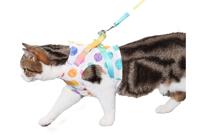 HKM-9736893 Cool and Breathable Cotton and Polyester Chest Leash for Small to Medium Dogs