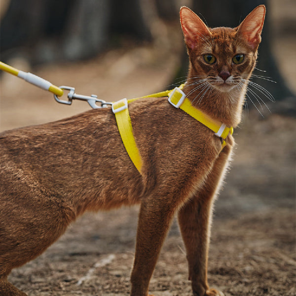 HKM-9748413 Pet Anti-Breakaway Traction Rope with Chest Harness - Available in Multiple Colors and Sizes
