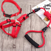 HKM-9750589 Multi-Style Pet Harness and Collar Set with Adjustable Leashes