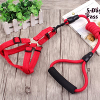 HKM-9750589 Multi-Style Pet Harness and Collar Set with Adjustable Leashes