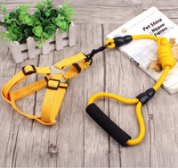 HKM-9750589 Multi-Style Pet Harness and Collar Set with Adjustable Leashes
