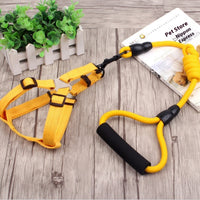 HKM-9750589 Multi-Style Pet Harness and Collar Set with Adjustable Leashes