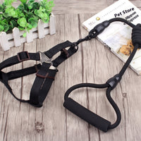HKM-9750589 Multi-Style Pet Harness and Collar Set with Adjustable Leashes