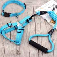 HKM-9750589 Multi-Style Pet Harness and Collar Set with Adjustable Leashes