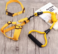 HKM-9750589 Multi-Style Pet Harness and Collar Set with Adjustable Leashes