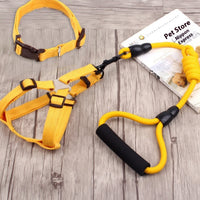 HKM-9750589 Multi-Style Pet Harness and Collar Set with Adjustable Leashes