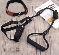 HKM-9750589 Multi-Style Pet Harness and Collar Set with Adjustable Leashes