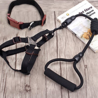 HKM-9750589 Multi-Style Pet Harness and Collar Set with Adjustable Leashes