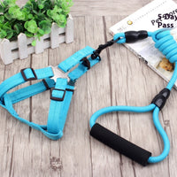 HKM-9750589 Multi-Style Pet Harness and Collar Set with Adjustable Leashes