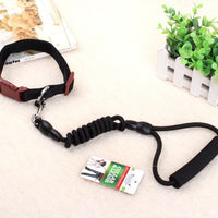 HKM-9750589 Multi-Style Pet Harness and Collar Set with Adjustable Leashes