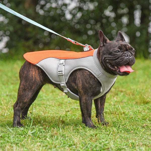 HKM-9754045 Breathable Mesh Cooling Vest for Pets - Multiple Colors and Sizes Available