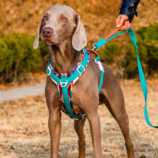 HKM-975443 Adjustable Dog Chest Strap for Medium and Large Breeds - Summer Comfort and Safety