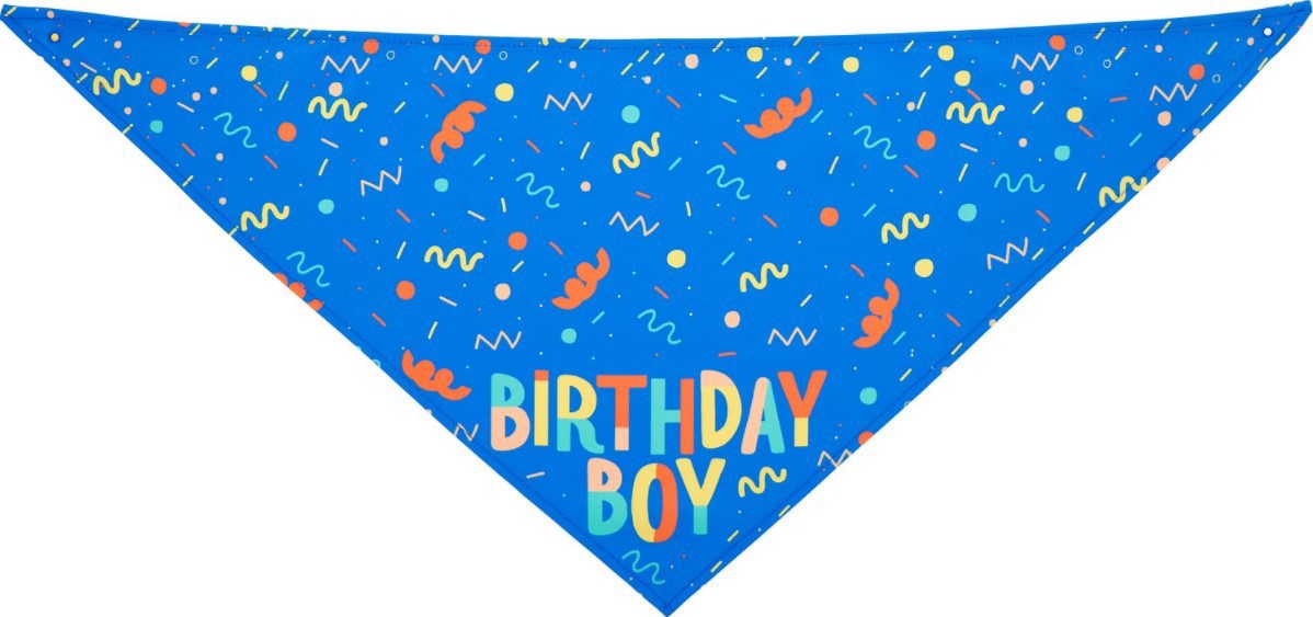 HKM-9755197 Pet Triangle Scarf and Birthday Toy Bone Set - Soft Cotton Polyester, Durable, Washable