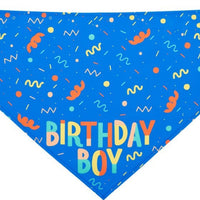 HKM-9755197 Pet Triangle Scarf and Birthday Toy Bone Set - Soft Cotton Polyester, Durable, Washable