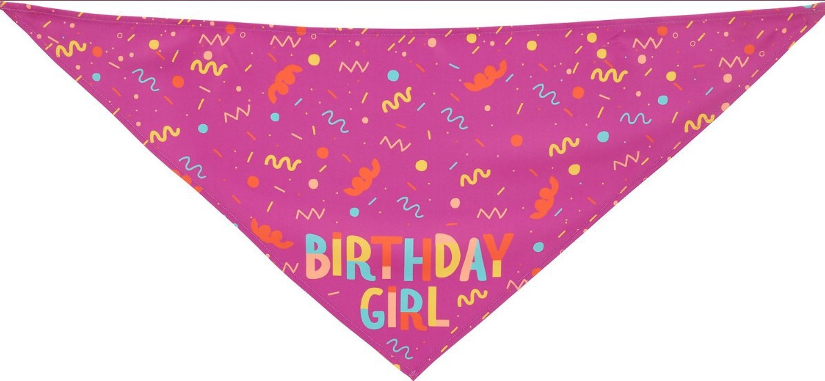 HKM-9755197 Pet Triangle Scarf and Birthday Toy Bone Set - Soft Cotton Polyester, Durable, Washable