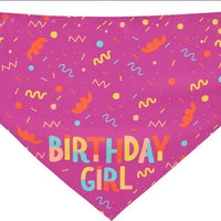 HKM-9755197 Pet Triangle Scarf and Birthday Toy Bone Set - Soft Cotton Polyester, Durable, Washable