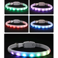 HKM-9756349 USB Rechargeable LED Dog Collar for Night Safety ¨C Weatherproof, Adjustable, Luminous Design