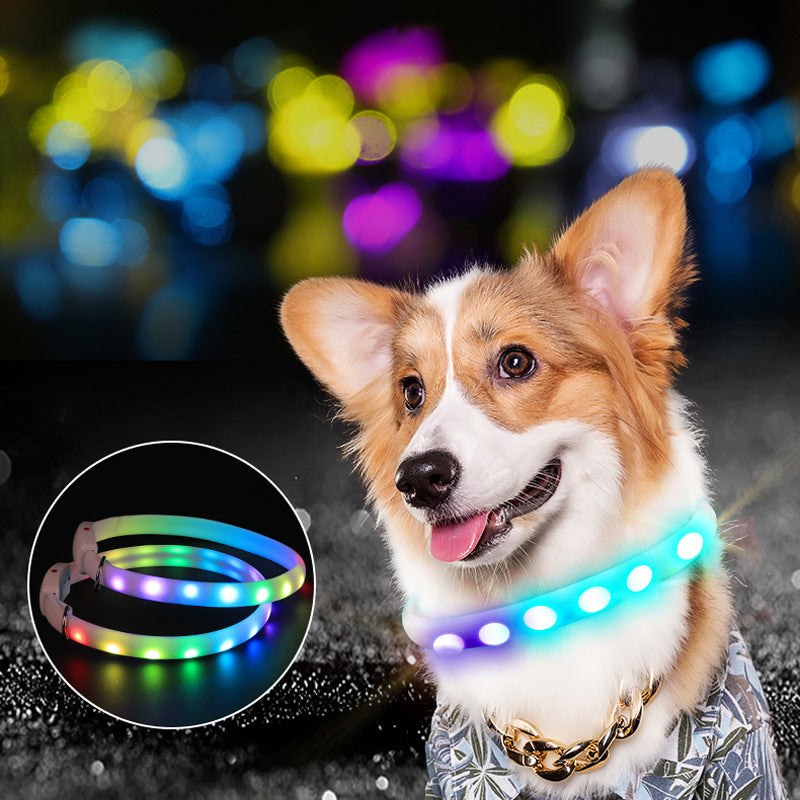 HKM-9756349 USB Rechargeable LED Dog Collar for Night Safety ¨C Weatherproof, Adjustable, Luminous Design