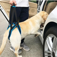 HKM-976275 Pet Leg Harness Support Belt for Dogs - Adjustable Sandwich Mesh in Blue, Sizes S, M, L, XL