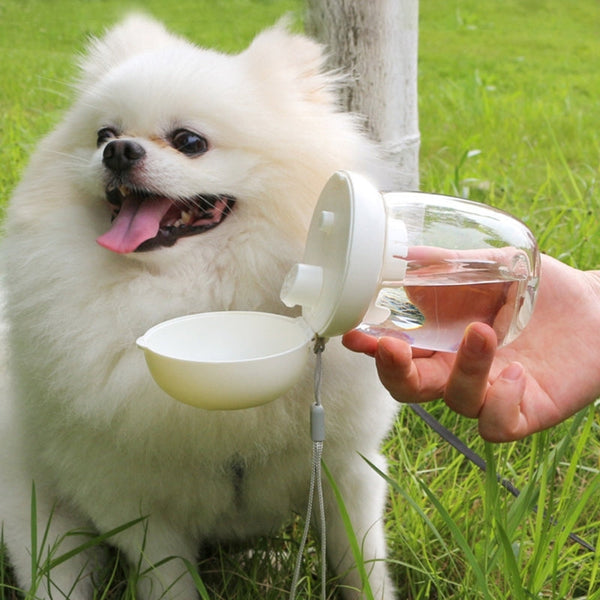 HKM-9765949 Leak-Proof Portable Dog Water Bottle for Travel and Outdoor Activities - 300ml Capacity