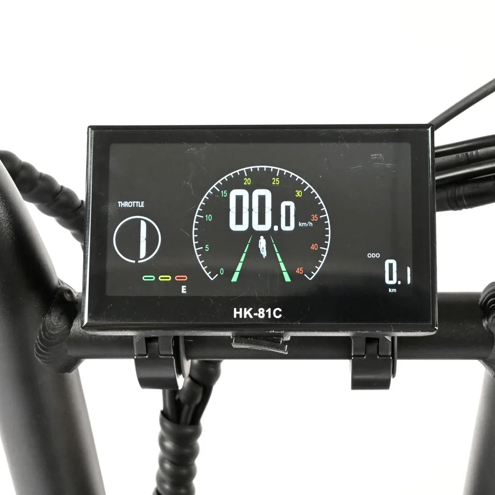 HKM-977555 2000W Electric City Bike with Dual 30Ah Battery, 7-Speed Gears, Aluminum Alloy Frame, and Fat Tires