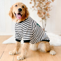 HKM-9776189 Comfortable Autumn & Winter Clothing for Medium to Large Dogs