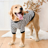 HKM-9776189 Comfortable Autumn & Winter Clothing for Medium to Large Dogs