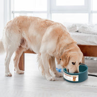 HKM-9777597 Heated Pet Water Bowl with 74.4oz Capacity, IP67 Waterproof Design, and Thermostatic Control for Dogs and Cats